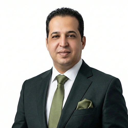Hamidreza Amini
