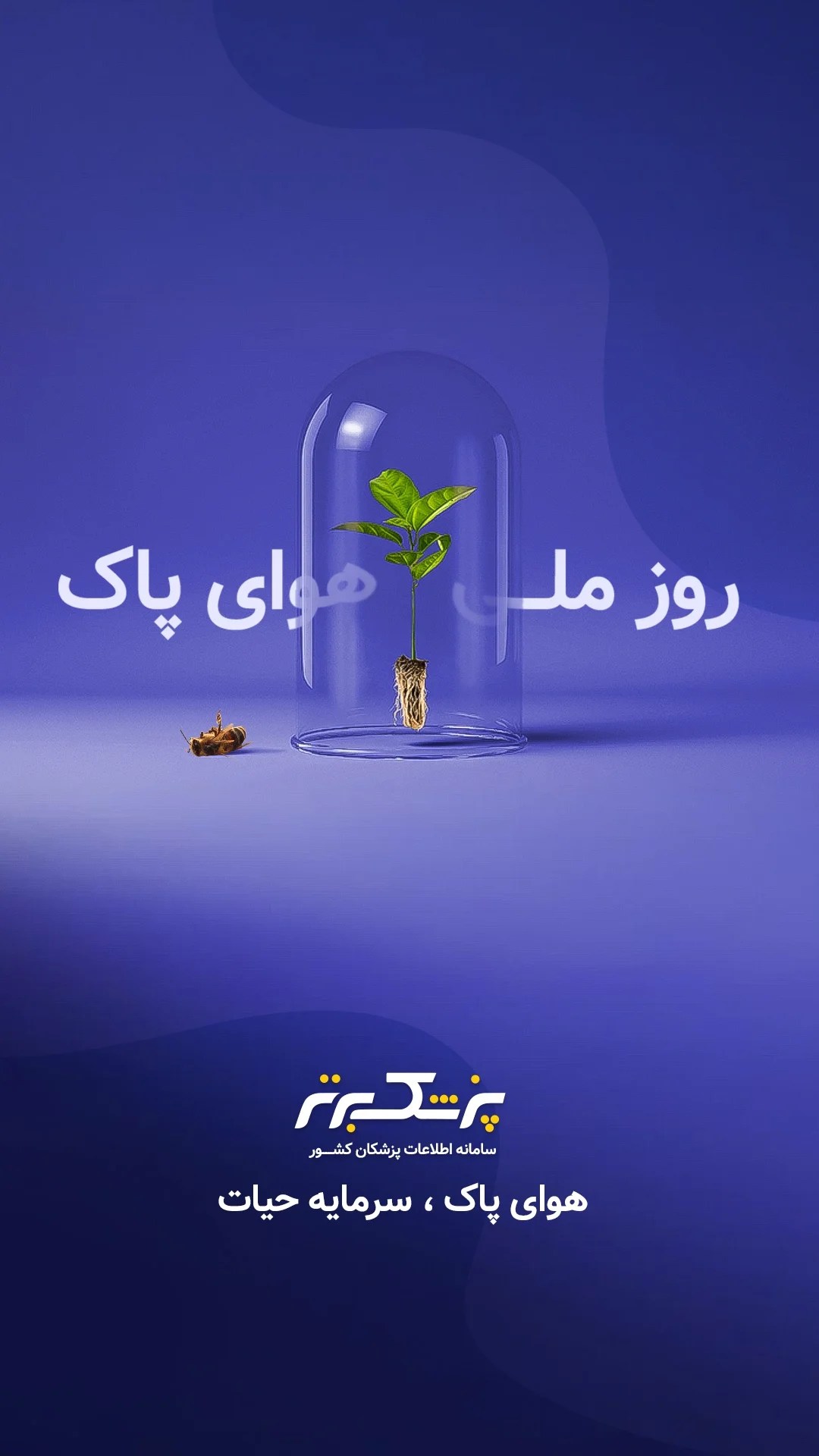 تصاویر و زاویه‌های مختلف پروژه